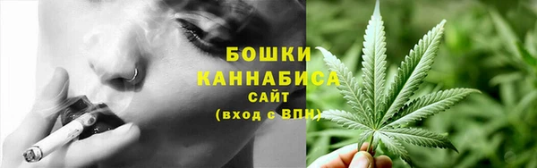 2c-b Мегион
