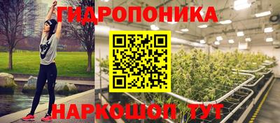 ГАЛЛЮЦИНОГЕННЫЕ ГРИБЫ Канаш