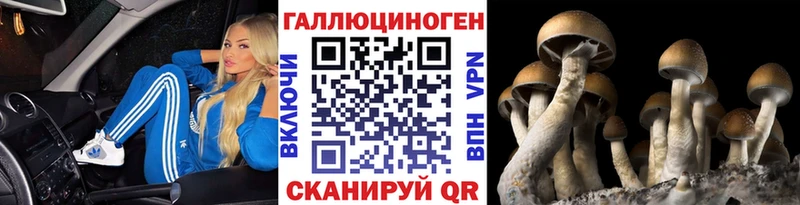 продажа наркотиков  Мурино  MEGA вход  Галлюциногенные грибы GOLDEN TEACHER 