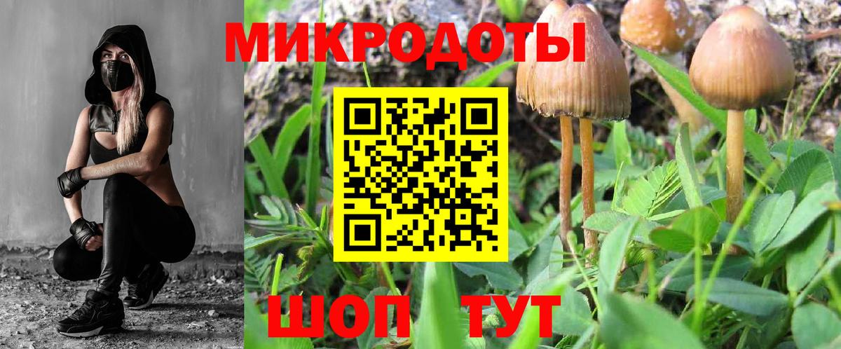 Галлюциногенные грибы MAGIC MUSHROOMS Мурино