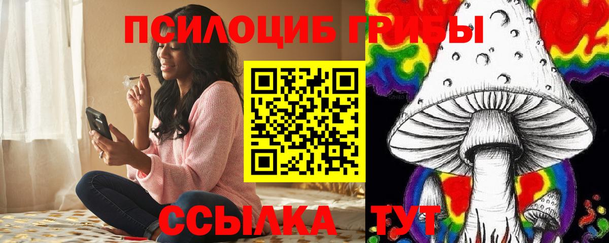 Псилоцибиновые грибы Psilocybine cubensis  Мурино  Галлюциногенные грибы мицелий 