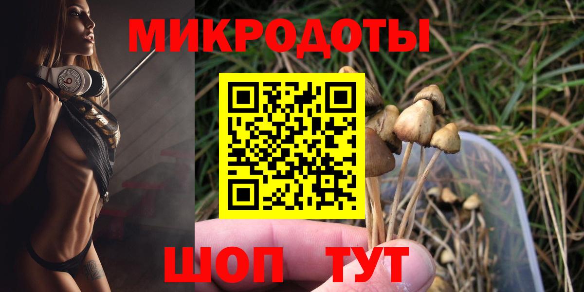 Мурино  Галлюциногенные грибы Psilocybine cubensis  Вход с VPN  Псилоцибиновые грибы Cubensis 